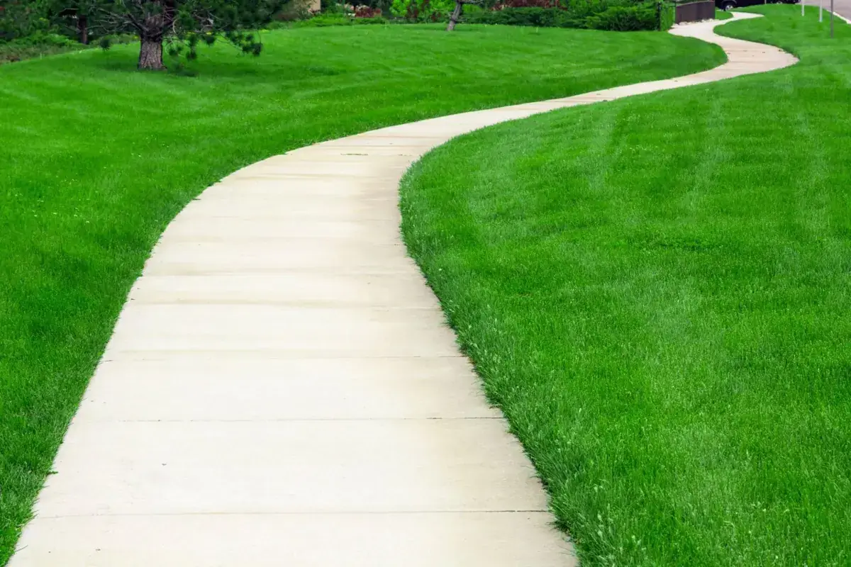 winding concrete garden path through a freshly cut lawn in Lantana